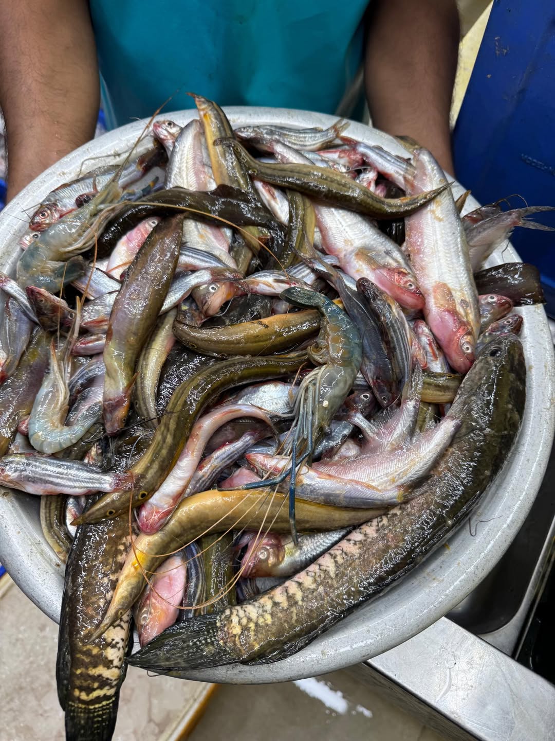 পাঁচমিশালী - Pachmishali 