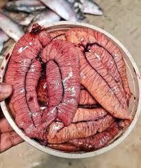 Hilsha Fish Egg ইলিশের ডিম ১ কেজি 