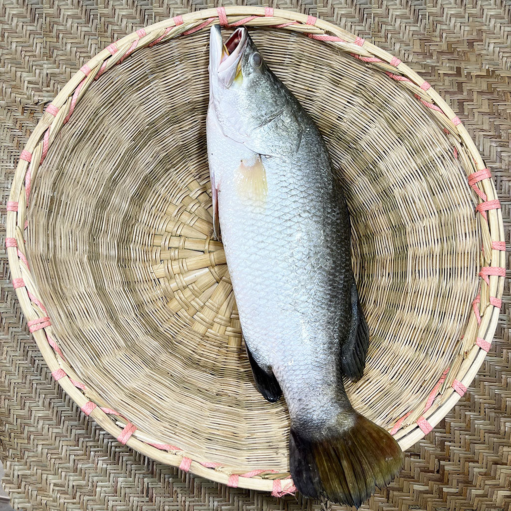 নদীর কোরাল ৮.৫ কেজি - nodir koral 8.5 KG